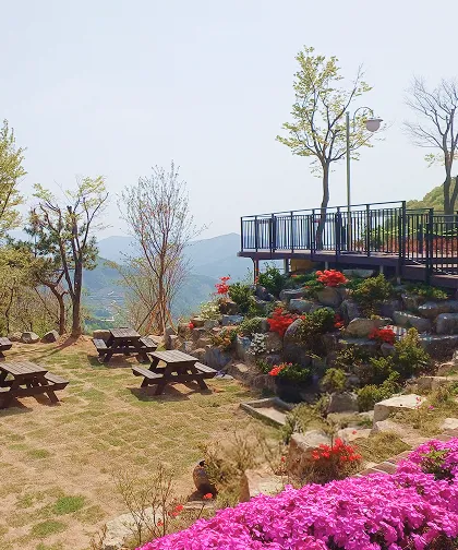 자연 속의 작은 휴식