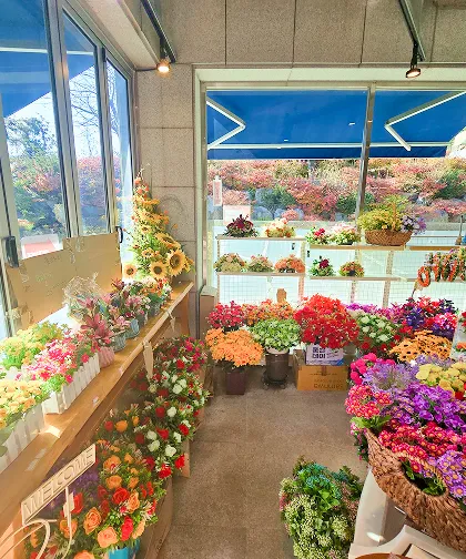 추억을 담는 꽃 한 송이